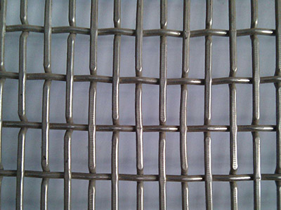 養(yǎng)豬網(wǎng)